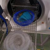 Autoclave de paillasse class b 23 l - Image 3