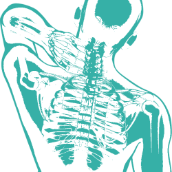 Supports orthopédiques